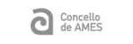 concello-de-ames (3)